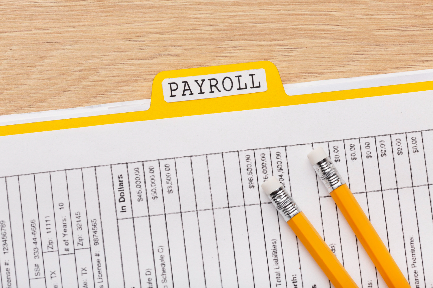 A Detailed Introduction on Workday Payroll Management System & Software  Solutions.